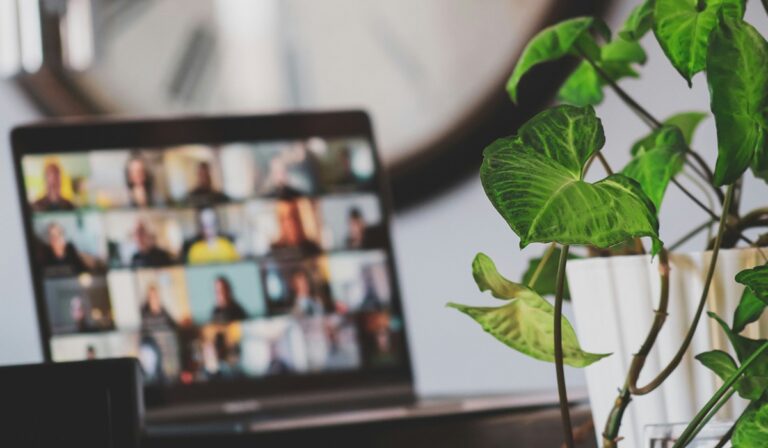 Computer screen showing Zoom meeting with plant in foreground