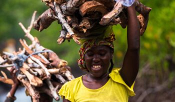 Woman gathering wood with son