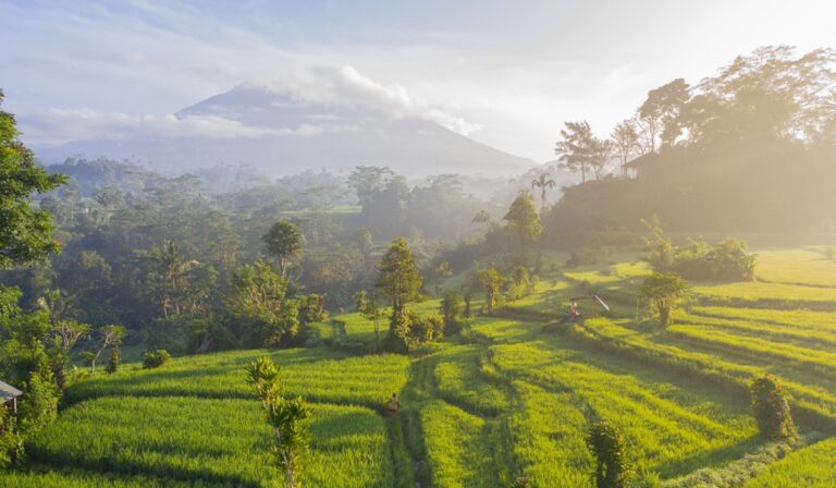 Bali landscape with mountain in background