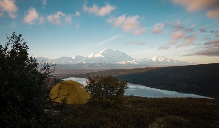 Camping in Denali