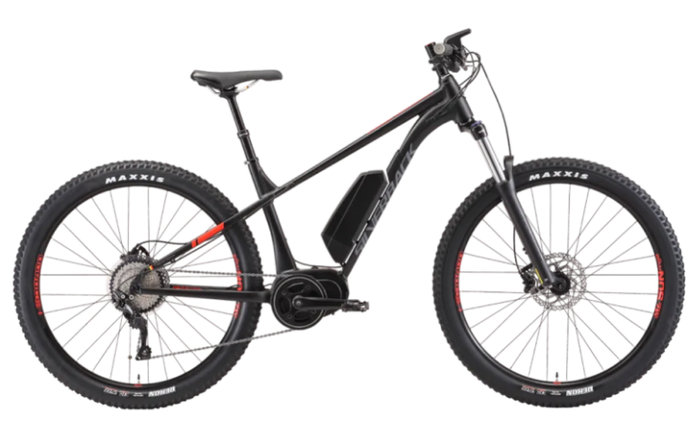 Asambe Electric Bike