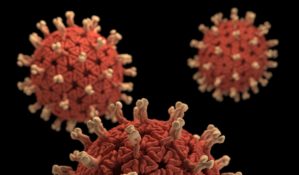 Viruses up close