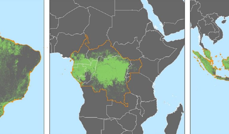 Deforestation Satellite Subscriptions