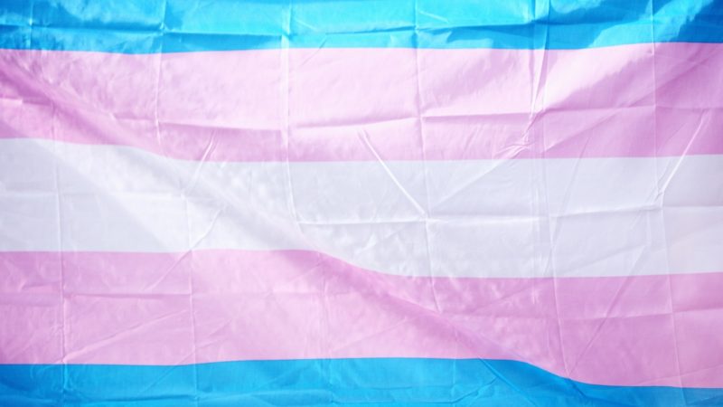 Trans flag