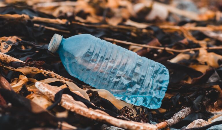 Plastic bottle