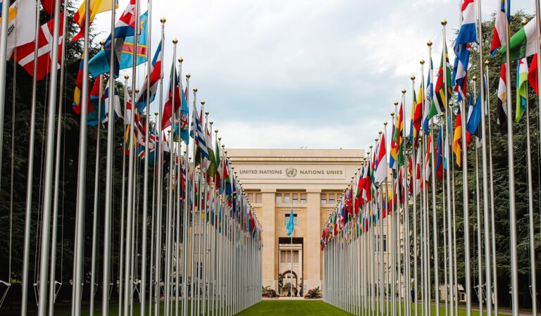 UN flags