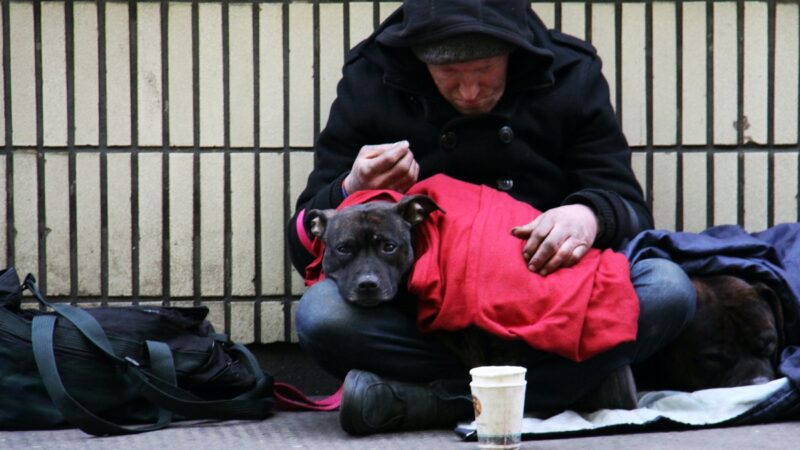 Homeless man and dog