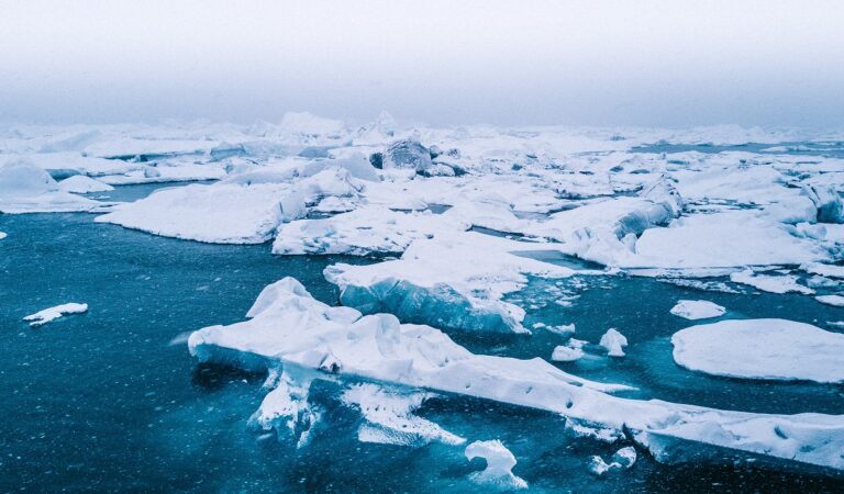 Arctic coast