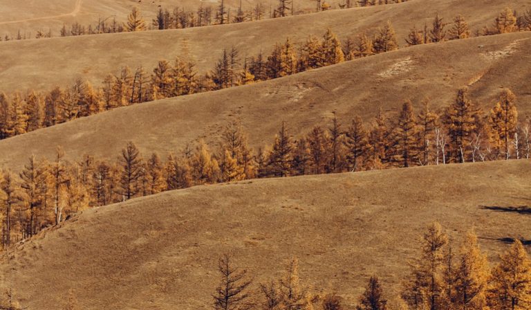 Mongolian landscape