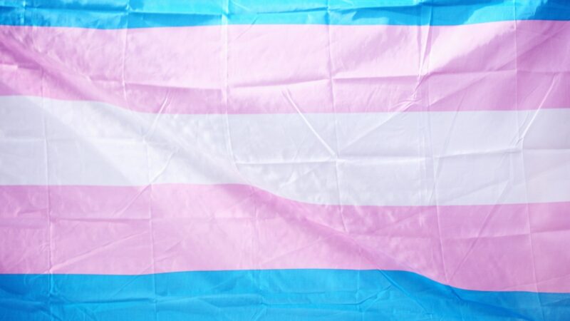 Trans flag