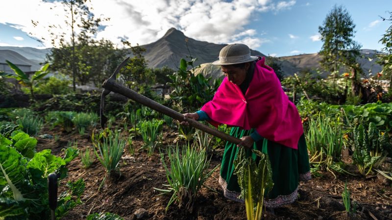 Indigenous woman in Ecuador