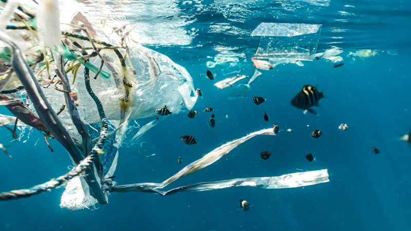 Plastic waste in the ocean