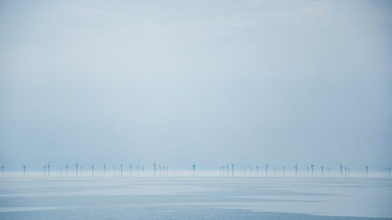 Offshore wind farm