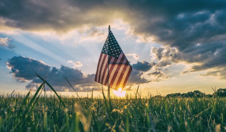 American flag plant on grass