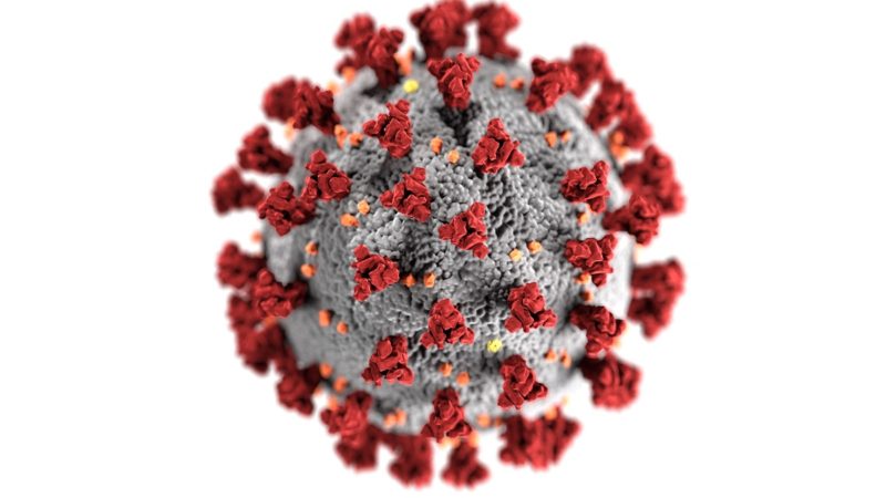 Coronavirus illustration