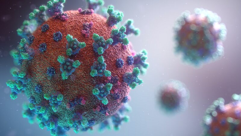 Visualisation of the Covid-19 virus