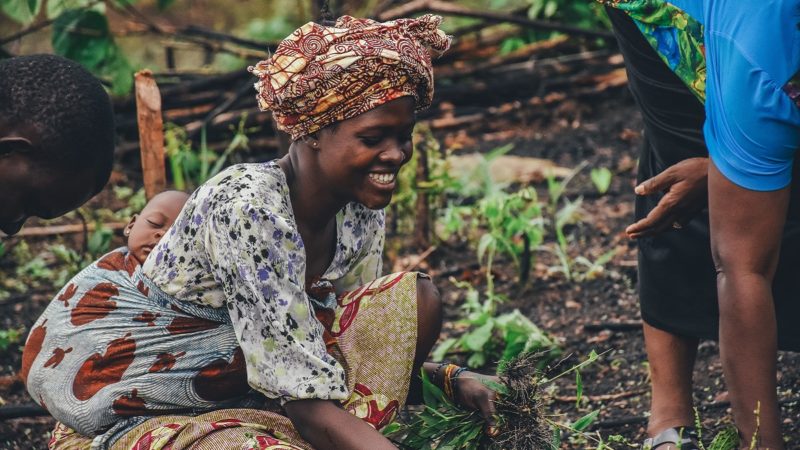 Sierra Leonean woman working in garden