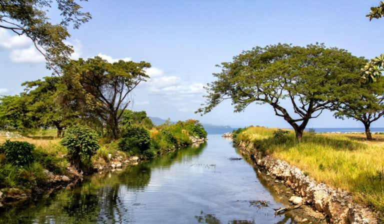 Stream near coastline