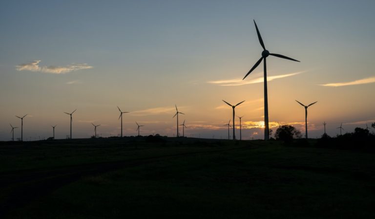 Silhouette of wind turbines