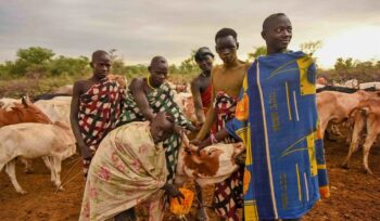 Mursi people with their cattle, Ethiopia