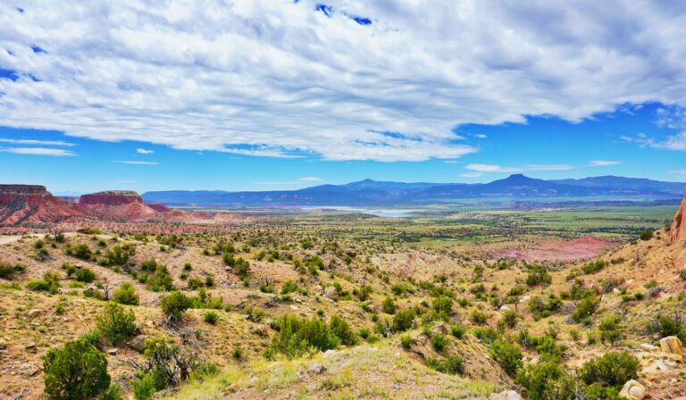 New Mexico landscape