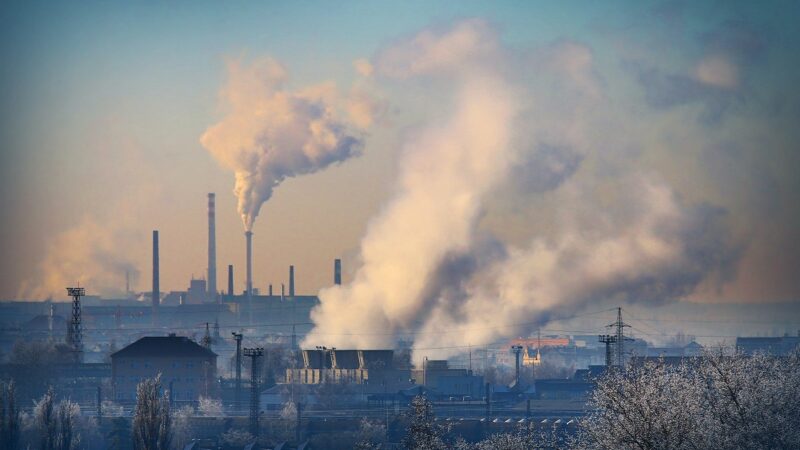 Coal-fired power plant