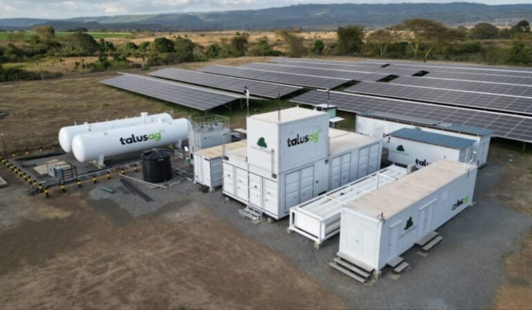 A fossil fuel-free ammonia plant at the Kenya Nut Company, near Nairobi