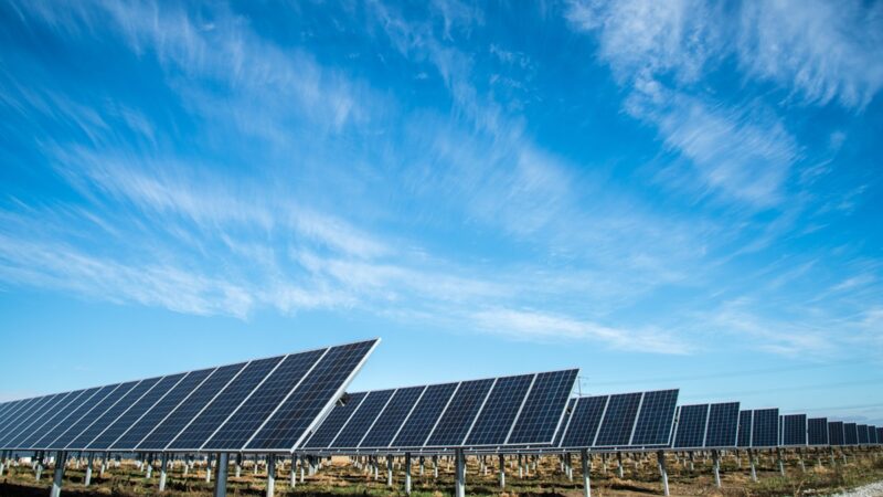 Solar farm with blue sky above