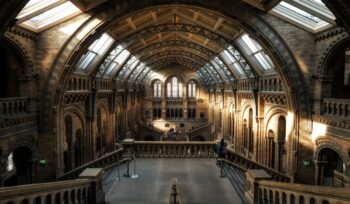 Inside a large museum