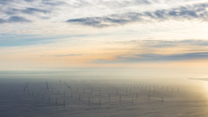 Offshore wind farm