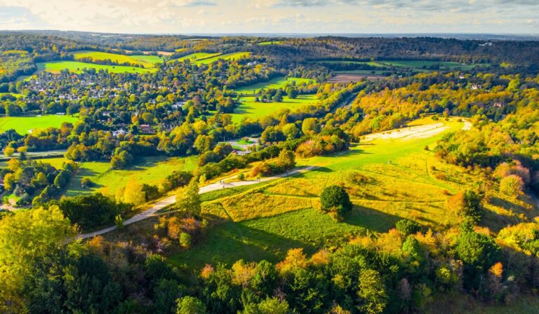 Aerial view of rolling hills