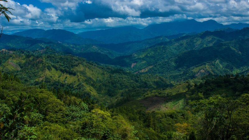 Dominican Republic forested landscape