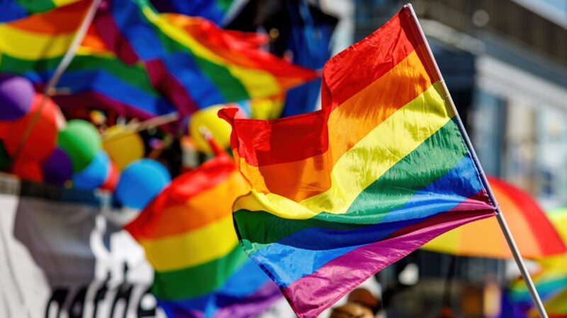 Lgbt pride rainbow flag during parade in the city .