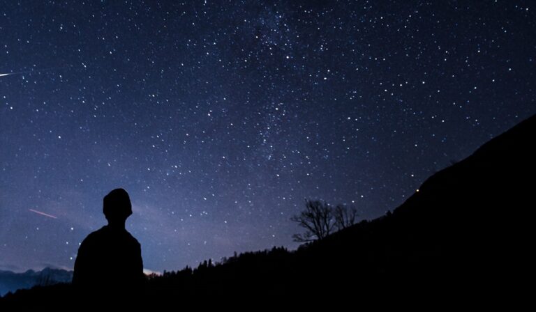 Silhouette of person looking at stars